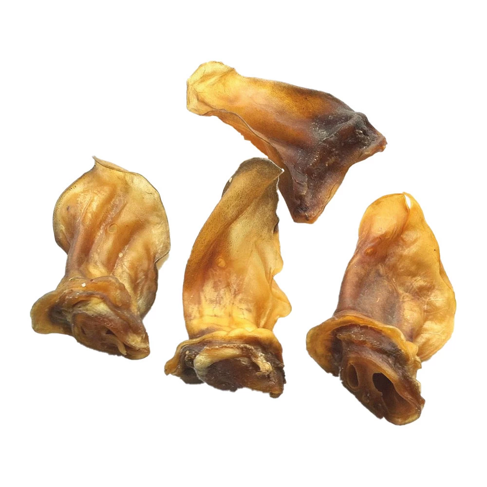 Competition Lamsoren - Afbeelding 3