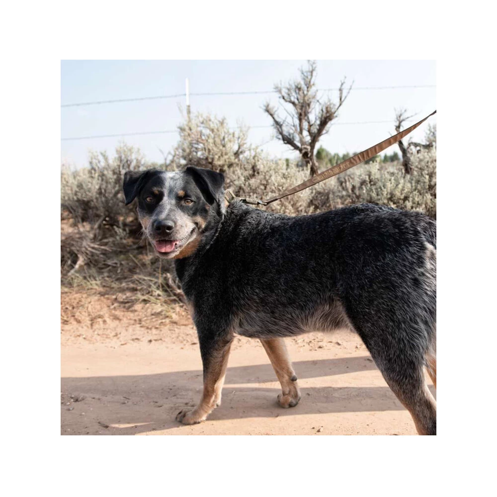 Carhartt Journeyman Leash - Afbeelding 5