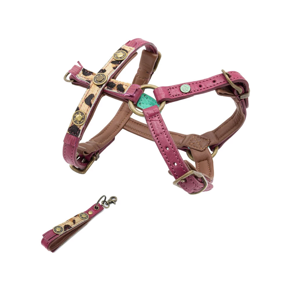 DWAM Hondentuigje Lou Lou - Afbeelding 2