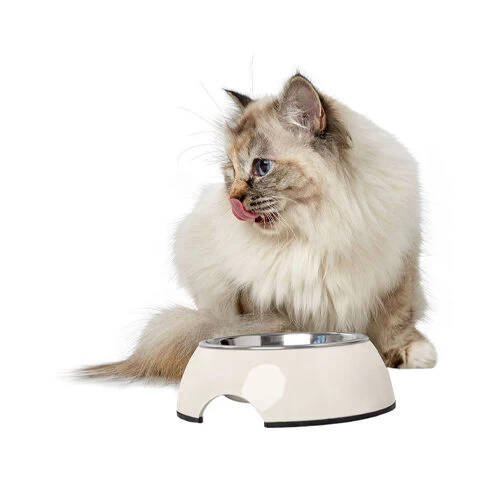 Hunter Melamine Voer- En Drinkbak - Wit - Afbeelding 8