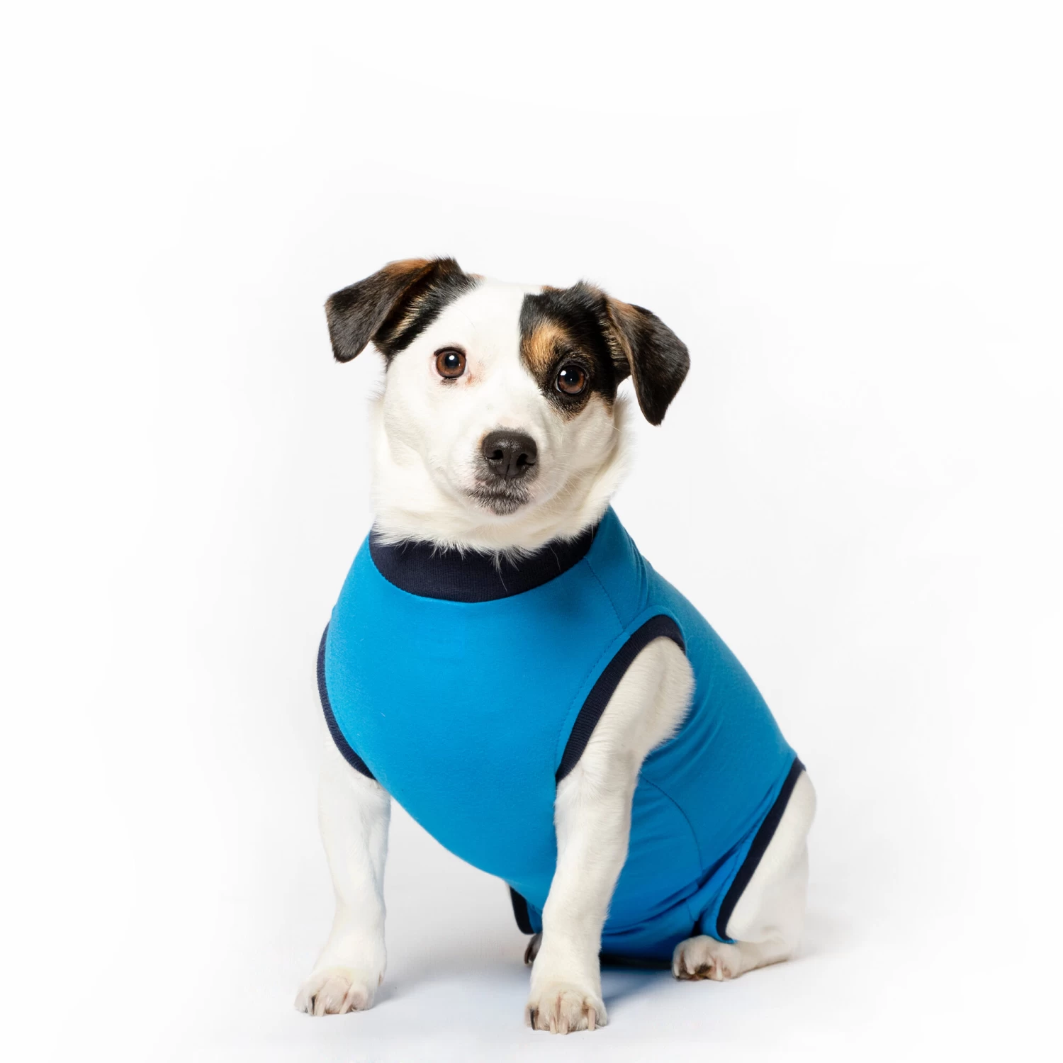 Jacketz Medical Body Suit Hond - Afbeelding 4