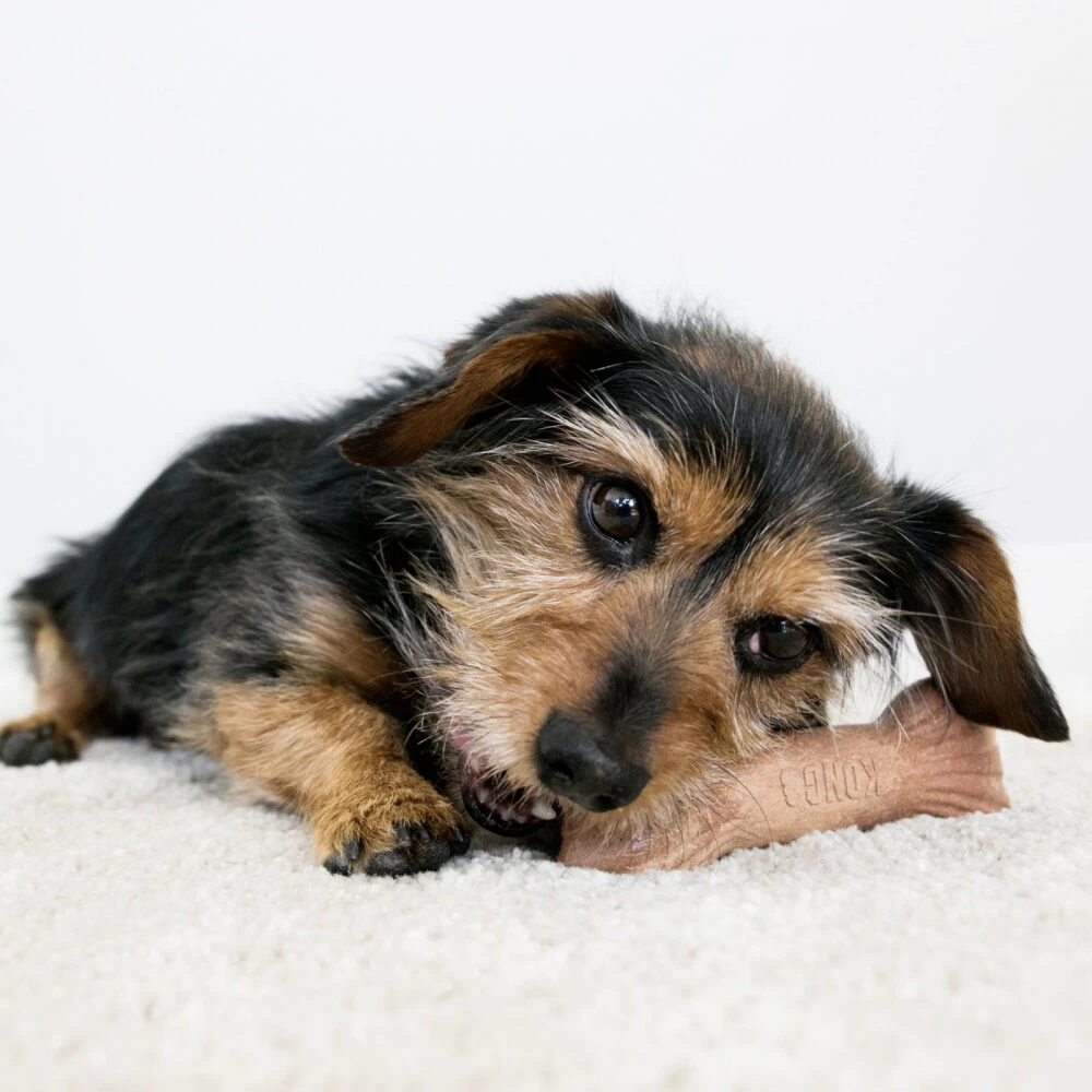 KONG ChewStix Ultra Stick - Afbeelding 7