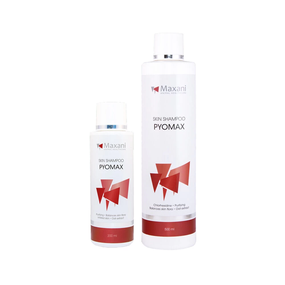 Maxani PyoMax Skin Shampoo - Afbeelding 3