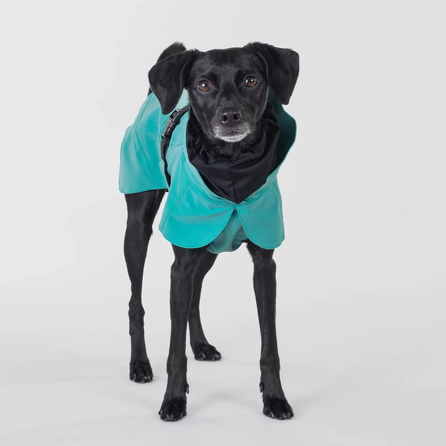 PAIKKA Visibility Raincoat Emerald - Afbeelding 15