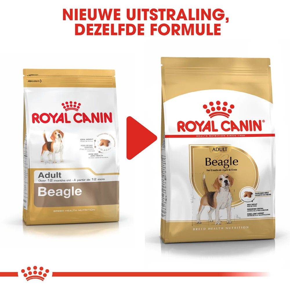 Royal Canin Beagle Adult - Hondenvoer - Afbeelding 5
