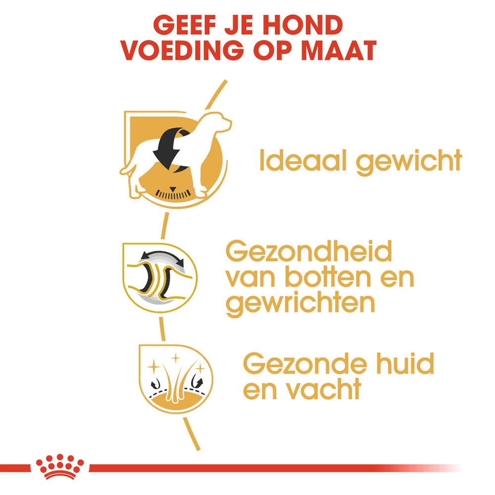 Royal Canin Labrador Retriever Adult - Hondenvoer - Afbeelding 5