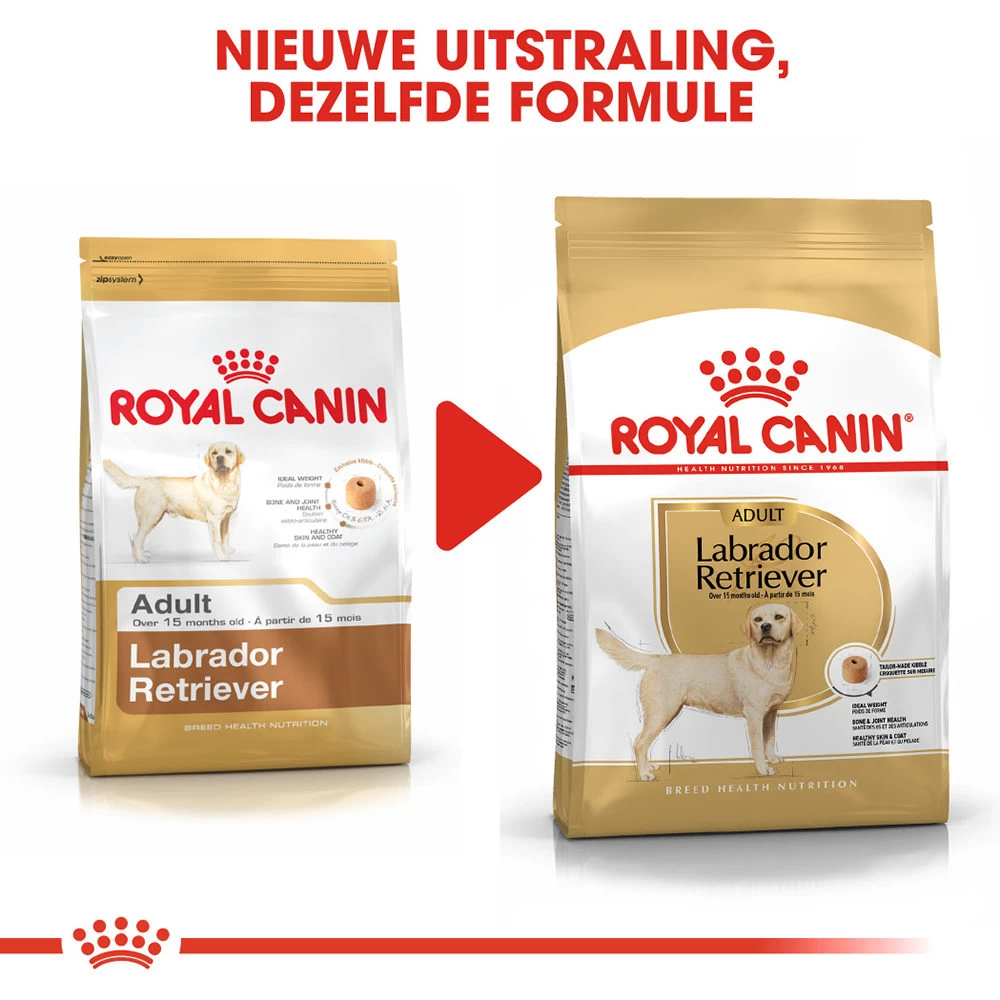 Royal Canin Labrador Retriever Adult - Hondenvoer - Afbeelding 8