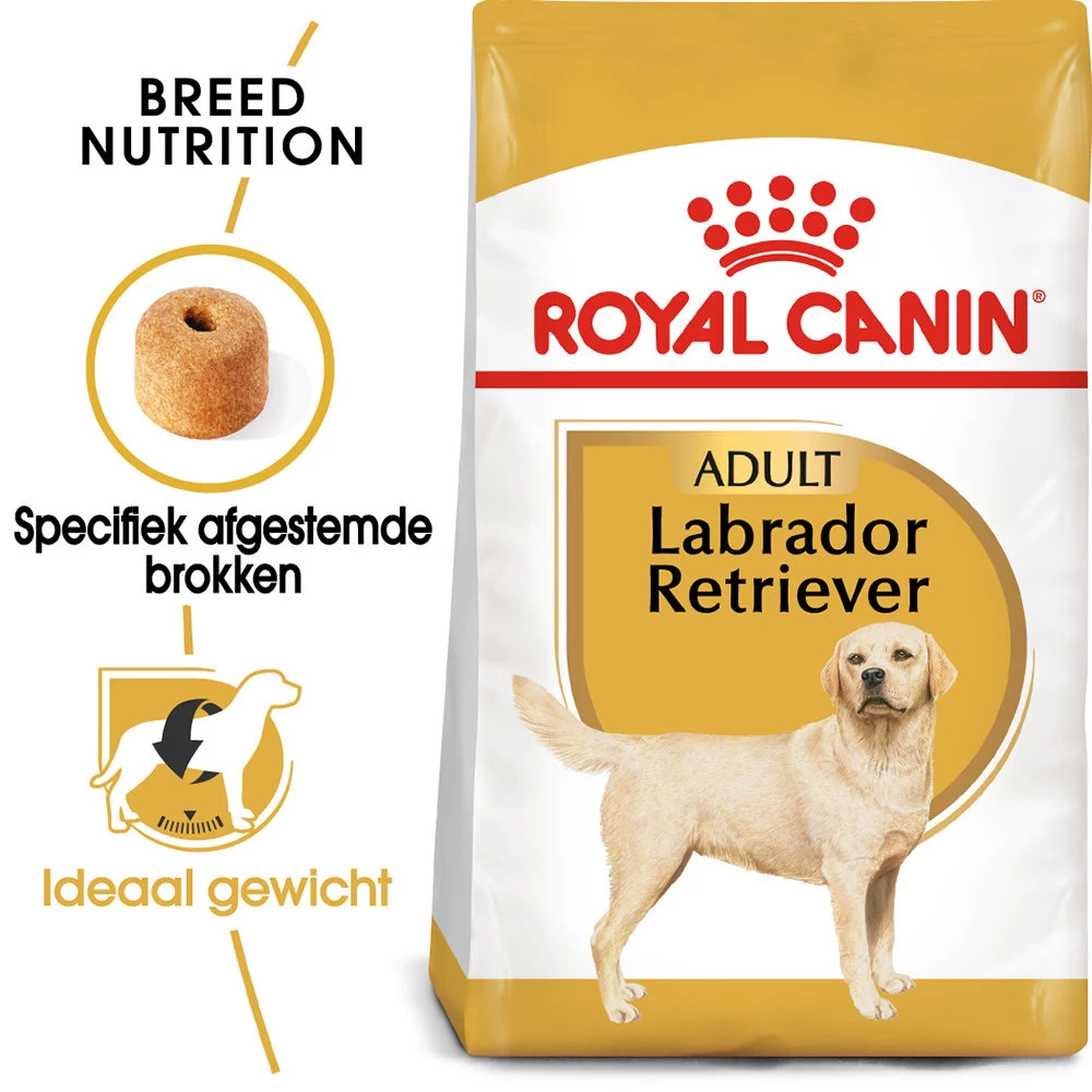 Royal Canin Labrador Retriever Adult - Hondenvoer - Afbeelding 3