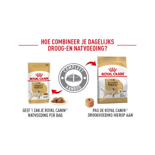 Royal Canin Labrador Retriever Adult - Hondenvoer - Afbeelding 4