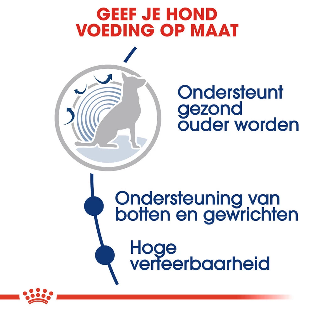 Royal Canin Maxi Ageing 8+ - Hondenvoer - Afbeelding 6