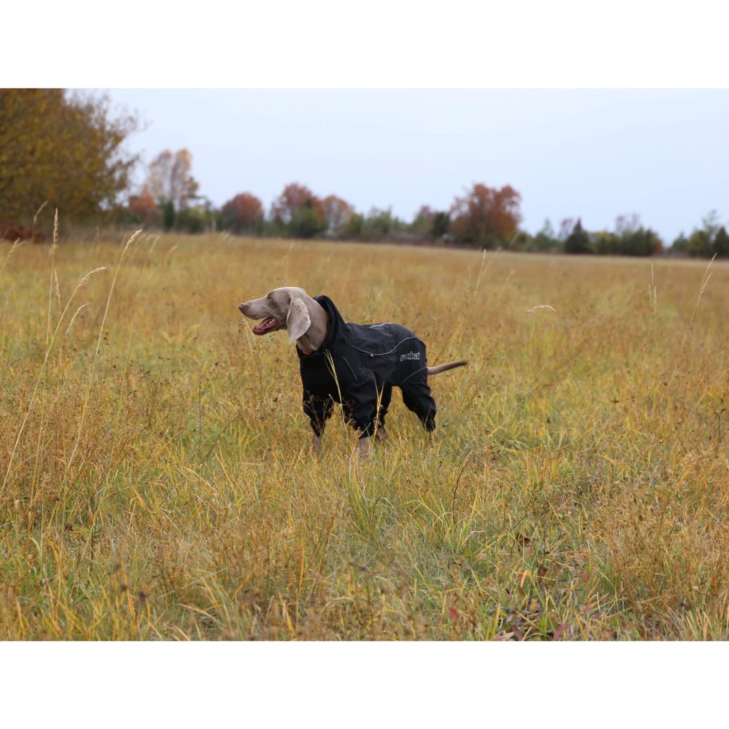 RukkaPets Protect Overall Zwart - Afbeelding 14