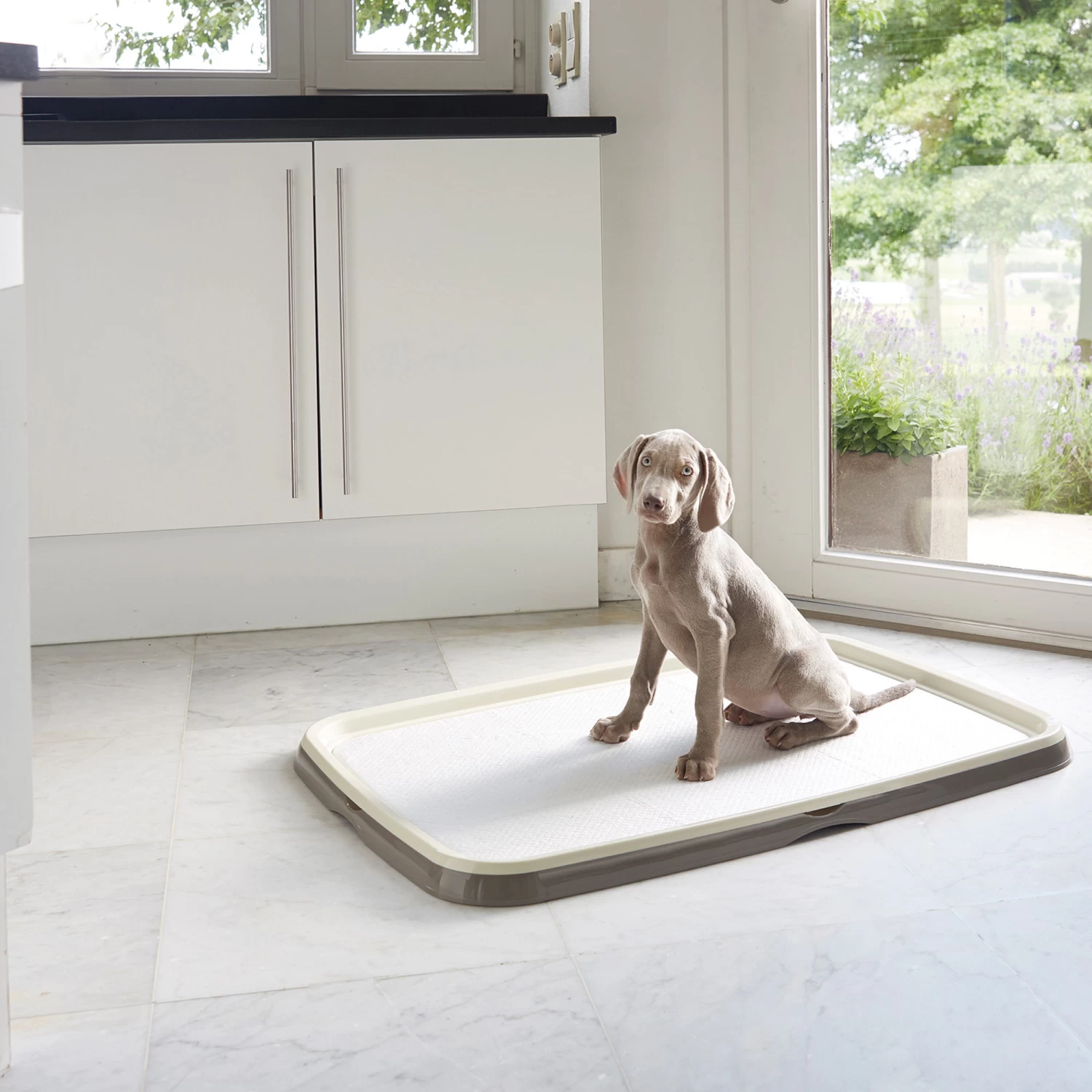 Savic Puppy Trainer + Pads - Afbeelding 16