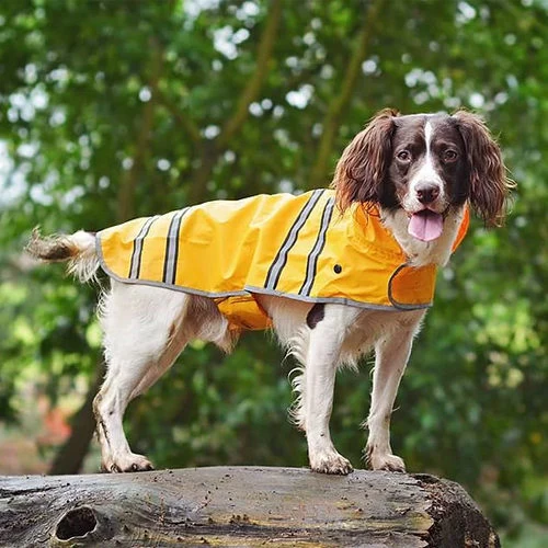 Sötnos Hondenregenjas - Afbeelding 4