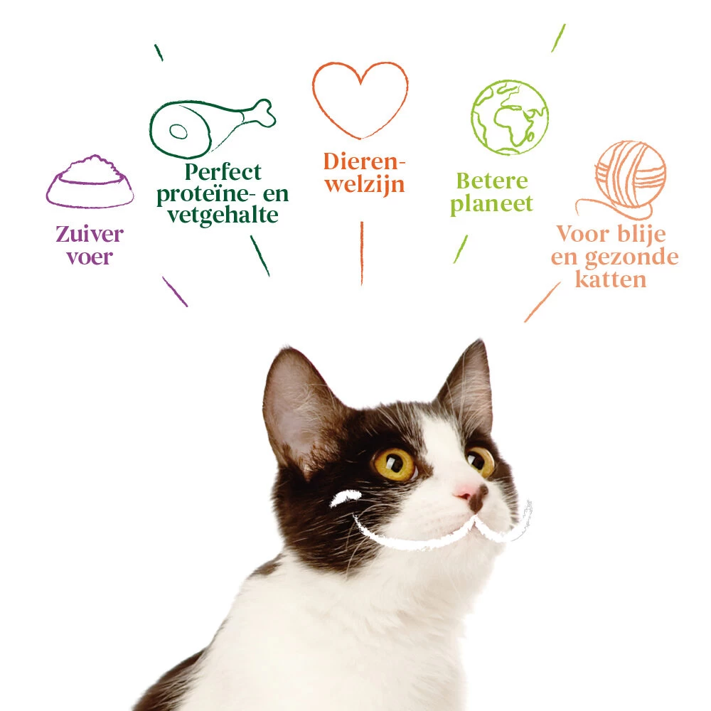 Yarrah - Natvoer Kat Kuipje Paté Met Zalm Bio - Afbeelding 4